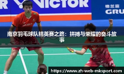 南京羽毛球队精英赛之路：拼搏与荣耀的奋斗故事